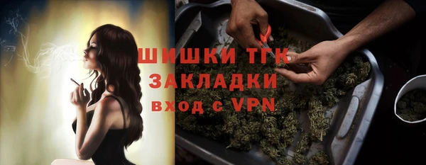 бошки Горняк
