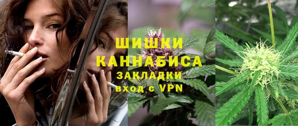 не бодяженный Горно-Алтайск