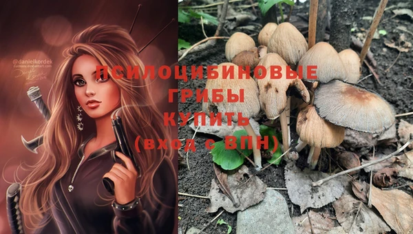 не бодяженный Горно-Алтайск