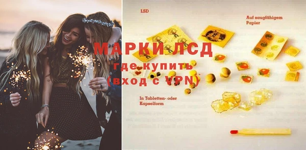 PSILOCYBIN Горнозаводск