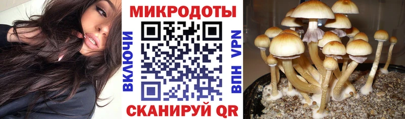 где продают наркотики Шарья Галлюциногенные грибы мухоморы