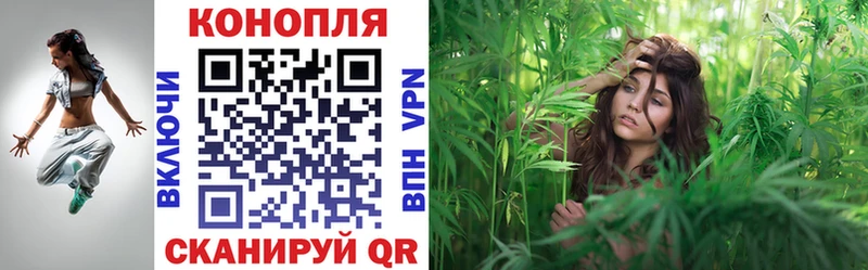 закладка  Шарья  Канабис семена 